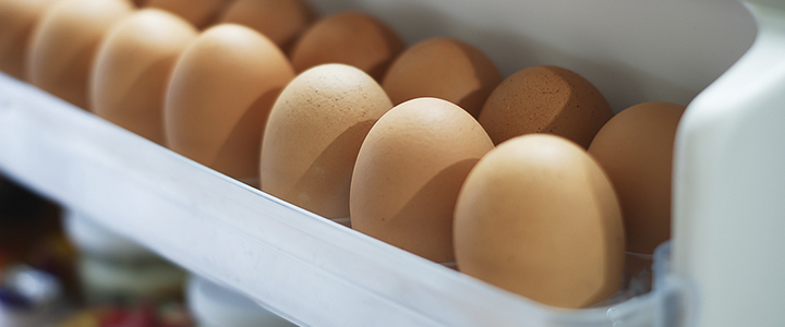 Сколько хранятся яйца при комнатной температуре